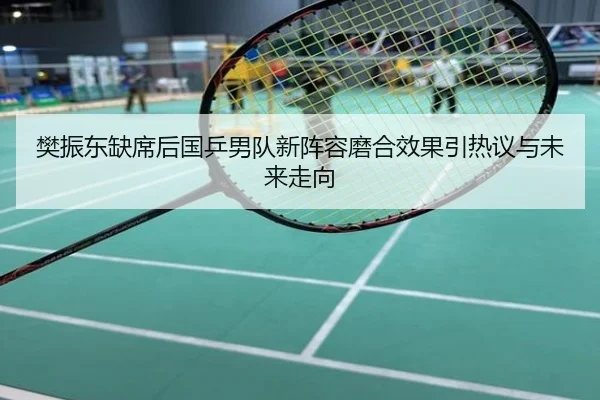樊振东缺席后国乒男队新阵容磨合效果引热议与未来走向